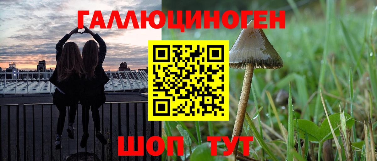 Псилоцибиновые грибы MAGIC MUSHROOMS Донской